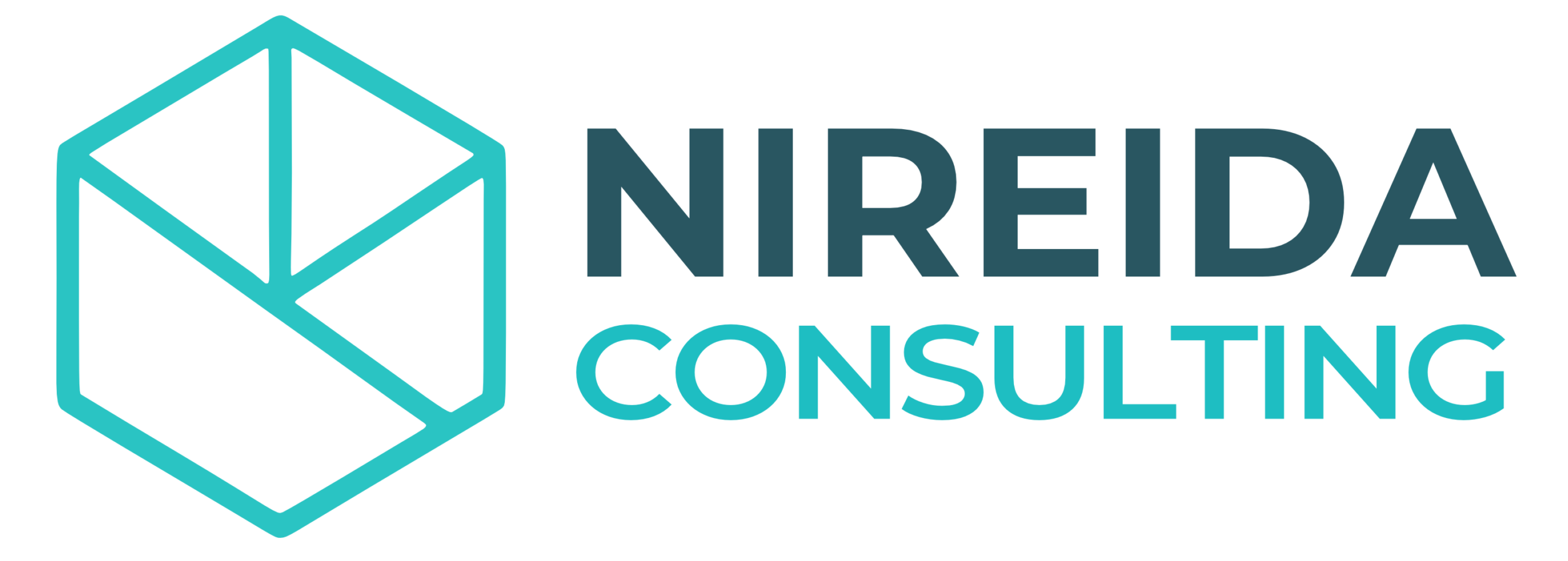 Nireida Consulting